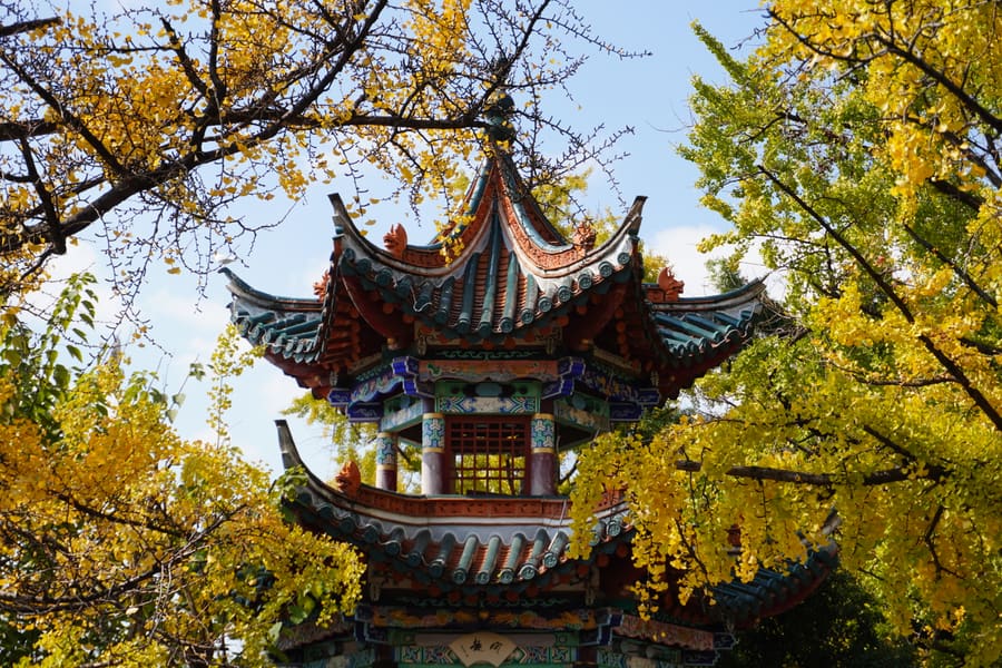 生活照七